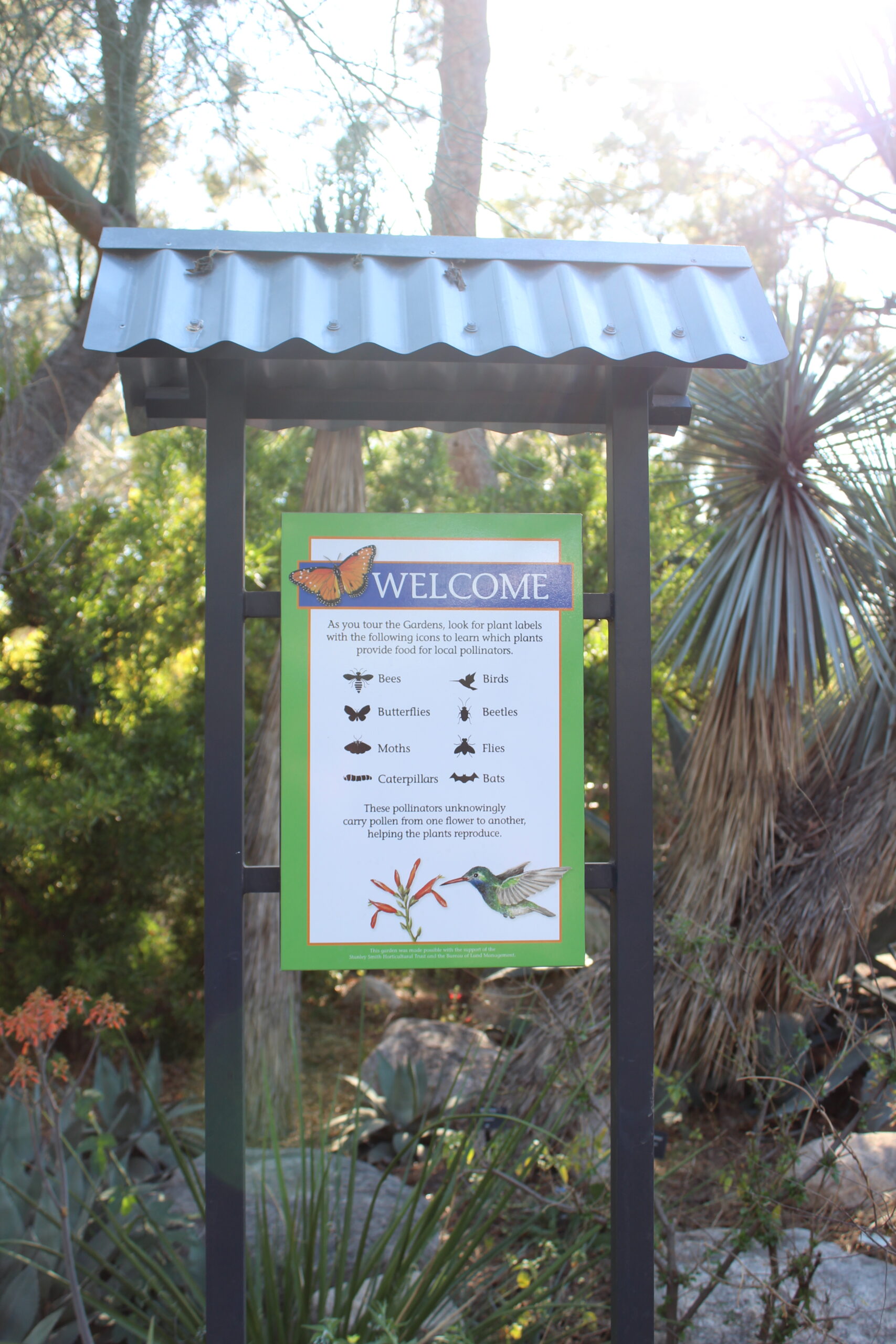 May 2025 Arts + Culture Spotlight: Tucson Botanical Gardens